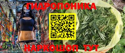 2c-b Кимры