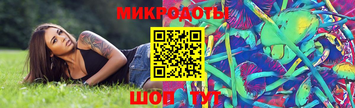 Королёв  Галлюциногенные грибы Cubensis  Вход с VPN 