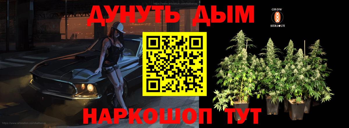 Конопля Amnesia  Вход с VPN  Королёв  МАРИХУАНА план  Канабис сатива 